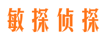 颍东市侦探调查公司